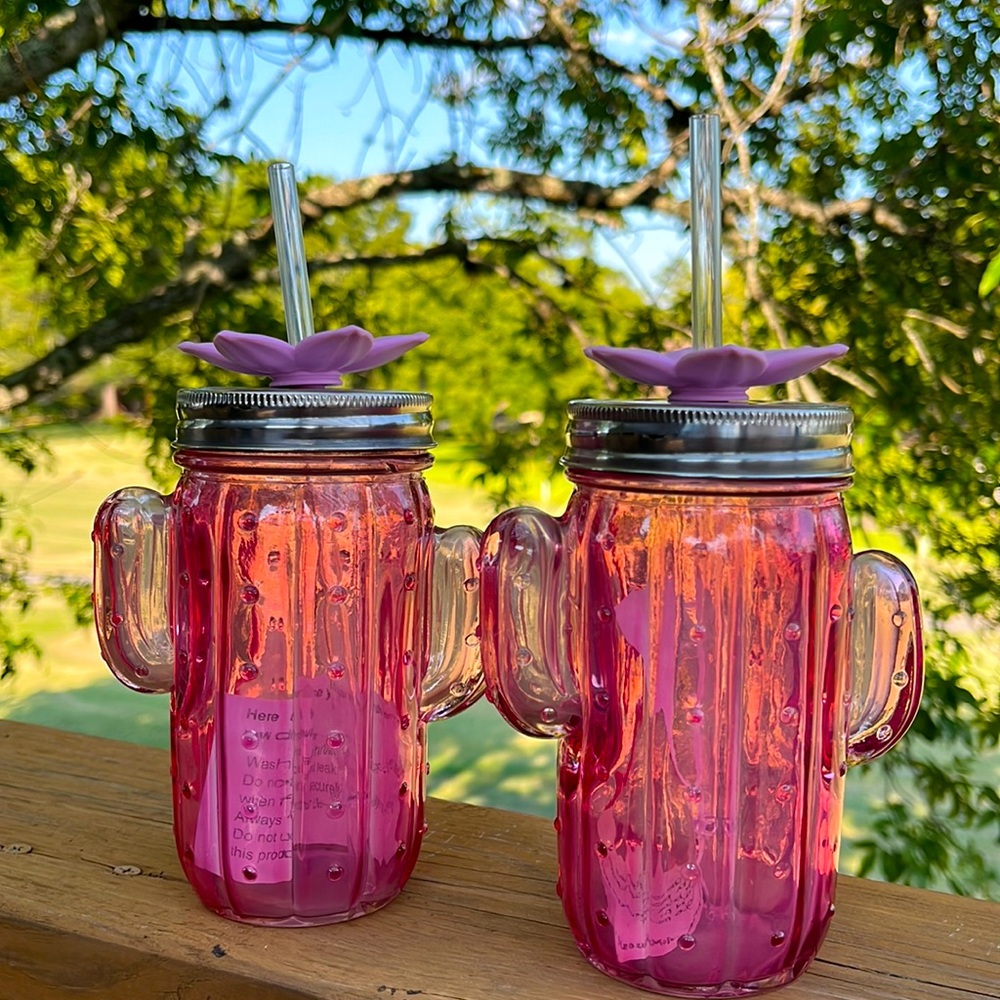 Pink Cactus Glass Jars with Lids and Straw New!